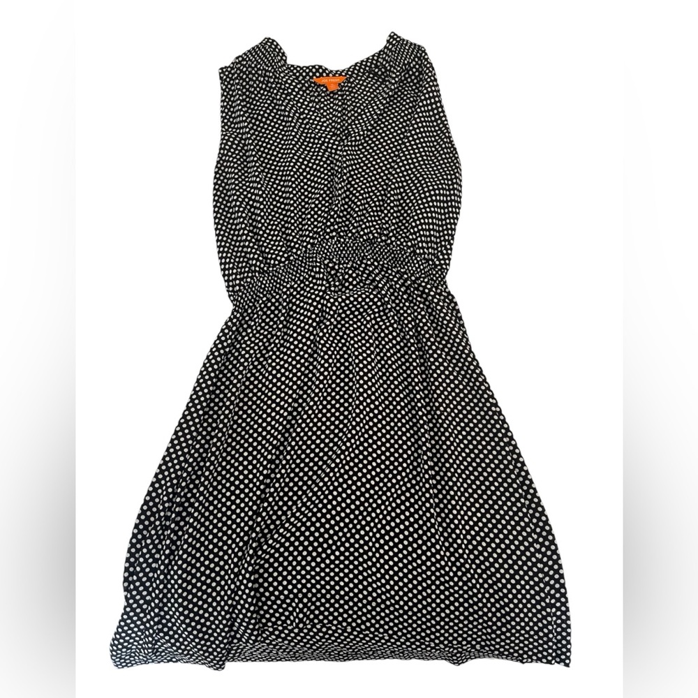 Polka Dot Dress